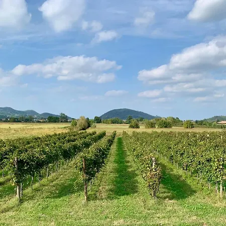 Holiday home Euganean Hills Natural Park: Casale Il Boschetto